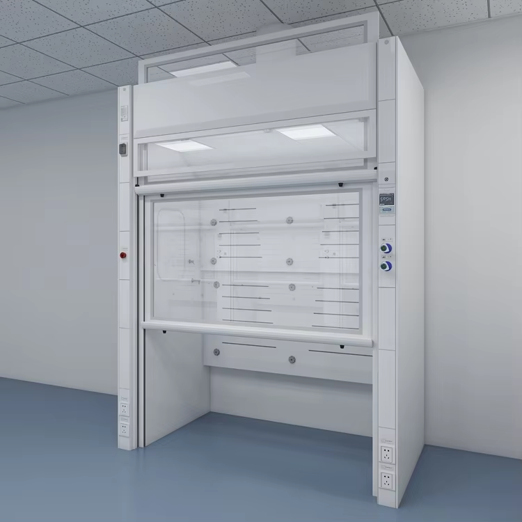 Walk-In Fume Hood (10)
