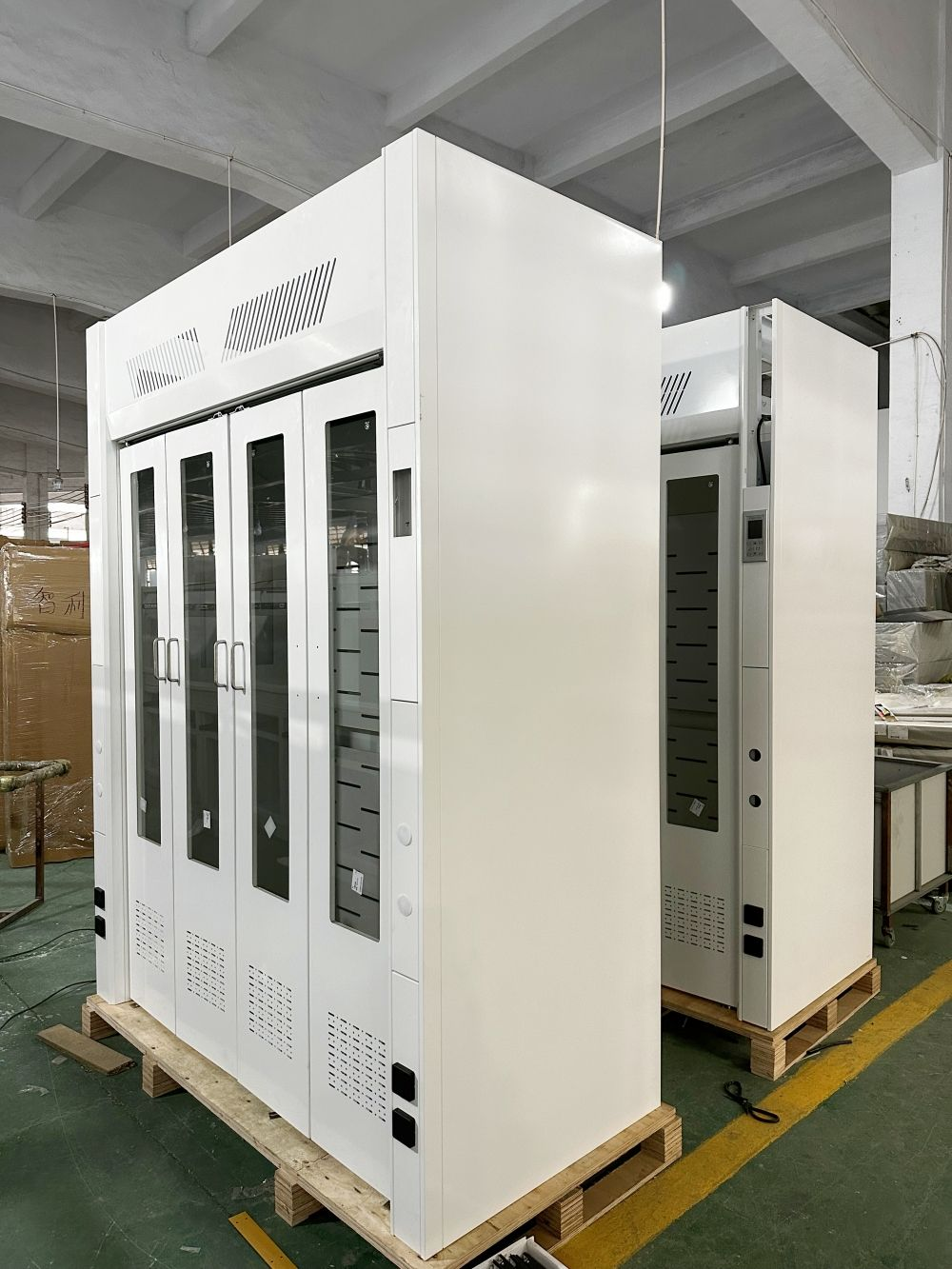 Walk-In Fume Hood (12)