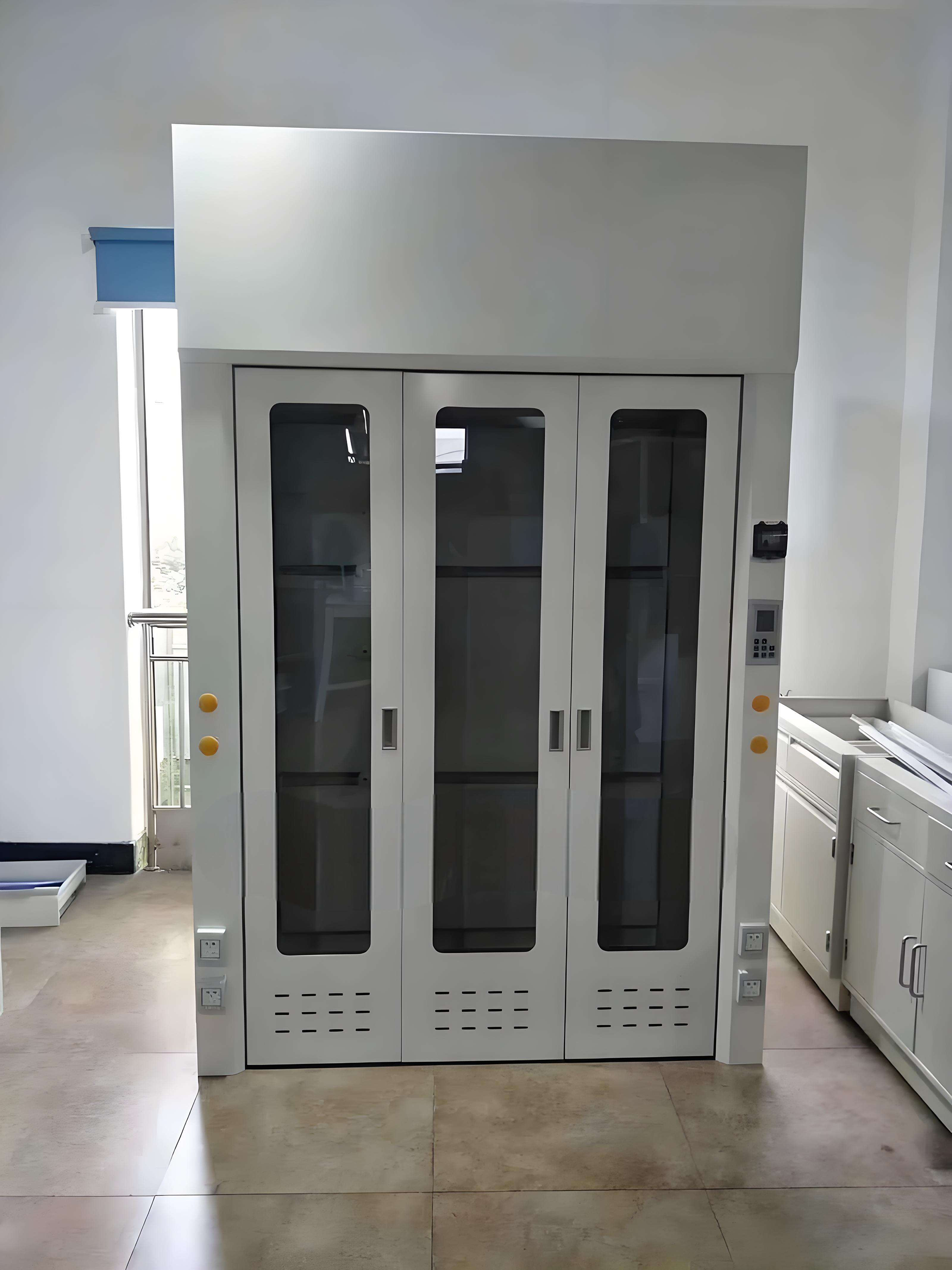 Walk-In Fume Hood (14)