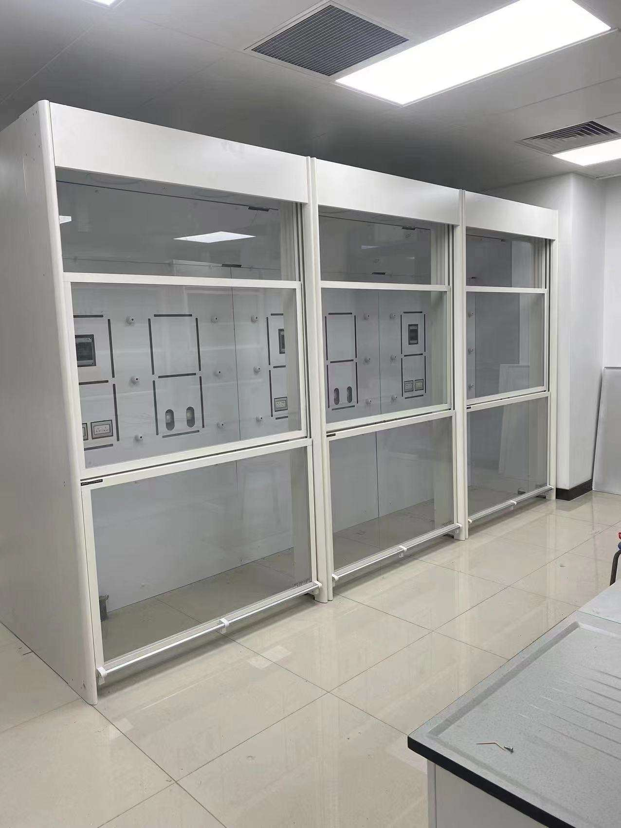 Walk-In Fume Hood (2)